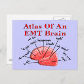 EMT脳地図 ポストカード (正面/裏面)