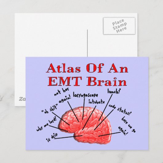 EMT脳地図 ポストカード (正面/裏面)