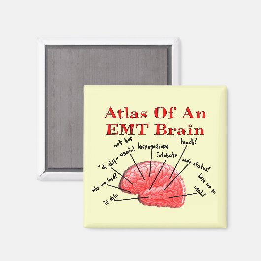 EMT脳地図 マグネット (正面/裏面)