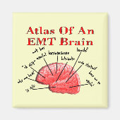 EMT脳地図 マグネット (正面)