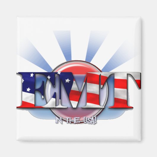 EMT in the USA (EMERGENCY MEDICAL TECH) マグネット (正面)
