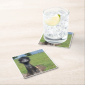 EMUって何を見てる？ スクエアペーパーコースター (インサイチュ)