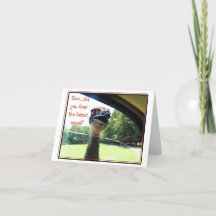 Emuの最おもしろい新ニュース·ゴシップ·カード