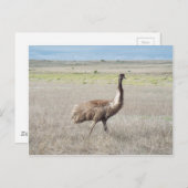 emuの歩幅 ポストカード (正面/裏面)