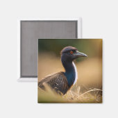 Emuの野生生物：ムラウン、ビラバイン絵馬大鳥 マグネット (正面/裏面)