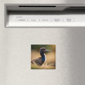 Emuの野生生物：ムラウン、ビラバイン絵馬大鳥 マグネット (インサイチュ (食洗機))