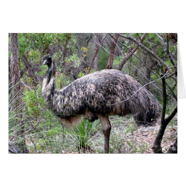 emuウォーク (正面横)