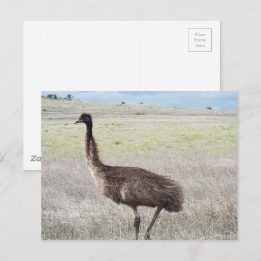 emuウォーク ポストカード (正面/裏面)