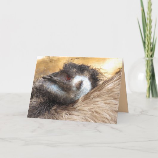 Emuバードグリーティングカード カード (正面)