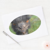 Emuバードシール 楕円形シール (封筒)