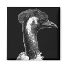 Emuプロファイル