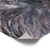 Emuポスター ポスター (角)