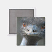 Emuマグネット マグネット (正面/裏面)