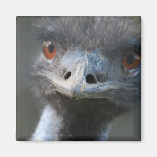 Emuマグネット マグネット (正面)