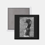 Emu自然愛好家の白黒の縦ステッカー マグネット (正面/裏面)