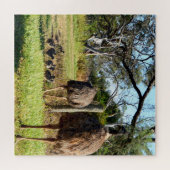 Emu誇りを持ったの親は雛を連れて ジグソーパズル (横)