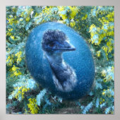 Emu野生生物 ポスター (正面)