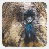 Emu鳥獣野生動物自然写真 スクエアシール (正面)