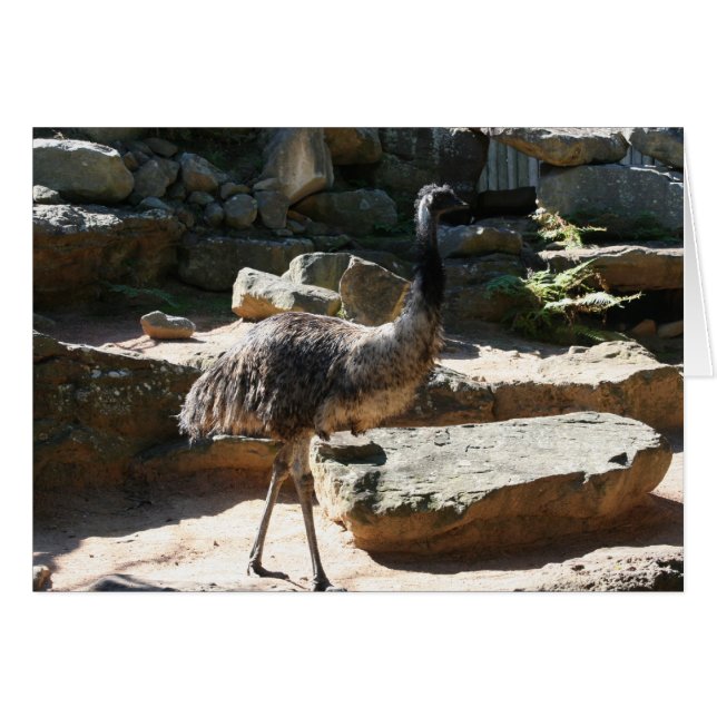 emu (正面横)