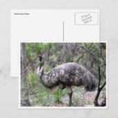 emu ポストカード (正面/裏面)