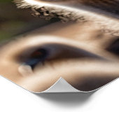 Emu Birds ポスター (角)