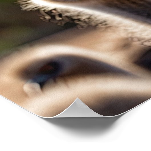 Emu Birds ポスター (角)