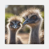 Emu Birds マグネット (正面)