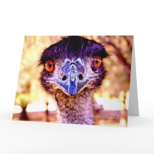 Emu Giant Art Greeting Card