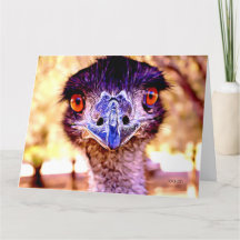 Emu Giant Art Greeting Card