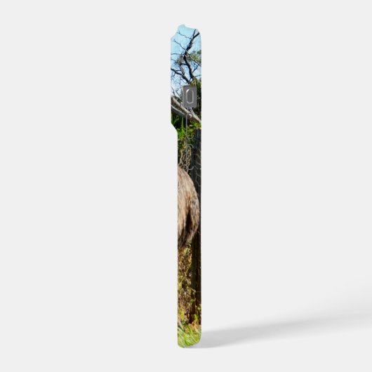 Emu Parents Taking Chicks For Walk, iPhoneケース (左側面)