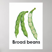 En – 広い豆 ポスター (正面)