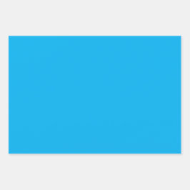 ENCギフトエレガントラッピングシート ラッピングペーパーシート