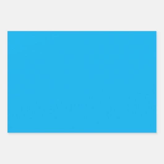 ENCギフトエレガントラッピングシート ラッピングペーパーシート (正面)