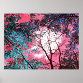 Enchanted   ポスター (正面)