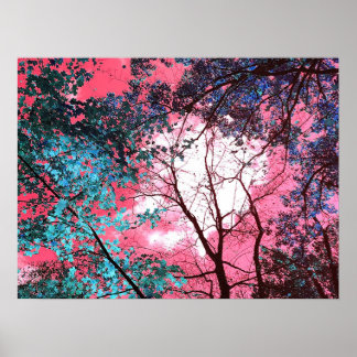 Enchanted   ポスター