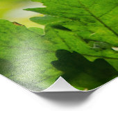 Enchanted Butterfly Forest フォトプリント (角)