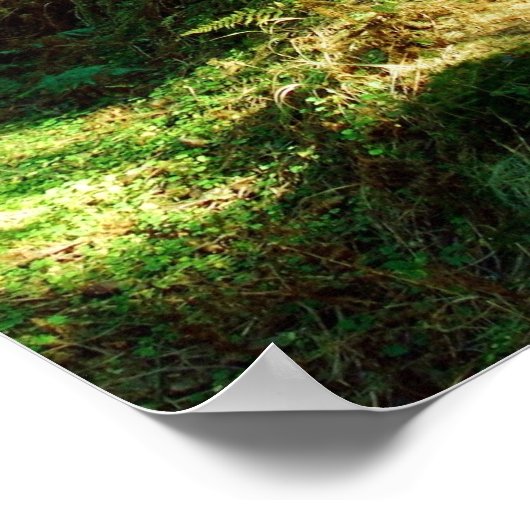 enchanted forest ポスター (角)