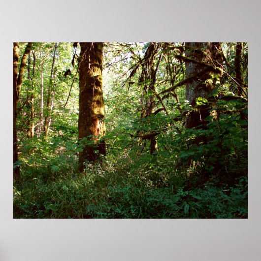 Enchanted Forest Poster Print ポスター (正面)