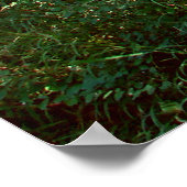 Enchanted Forest Poster Print ポスター (角)