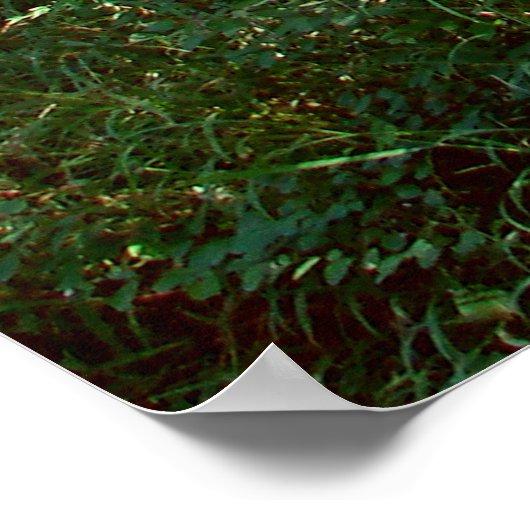 Enchanted Forest Poster Print ポスター (角)