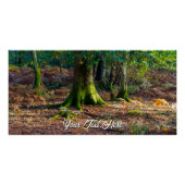  Enchanted Woodland Scene – Glossy Poster ポスター (正面)