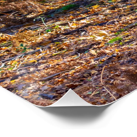  Enchanted Woodland Scene – Glossy Poster ポスター (コーナー)