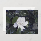 Enchanting Gardenia Save The Date Postcard 案内ポストカード (正面/裏面)