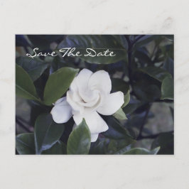 Enchanting Gardenia Save The Date Postcard 案内ポストカード