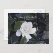 Enchanting Gardenia Save The Date Postcard 案内ポストカード (正面/裏面)