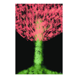 Enchantree フォトプリント