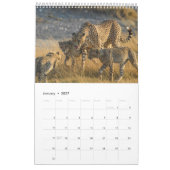 Encounters in Africa's Wild Kingdom, Calendar カレンダー (1月 2027)