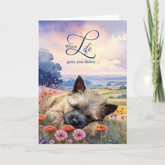 Encouragement Cairn Terrier Dog Wildflower Meadow カード (正面)