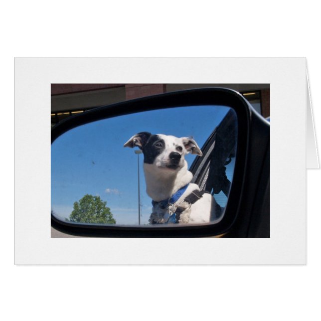 ENCOURGEMENT (正面横)