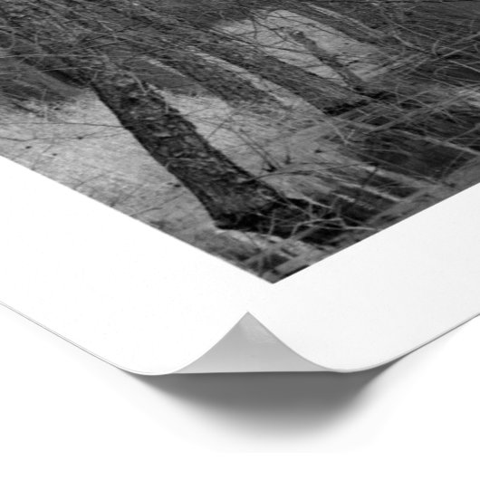 Endless River ポスター (角)